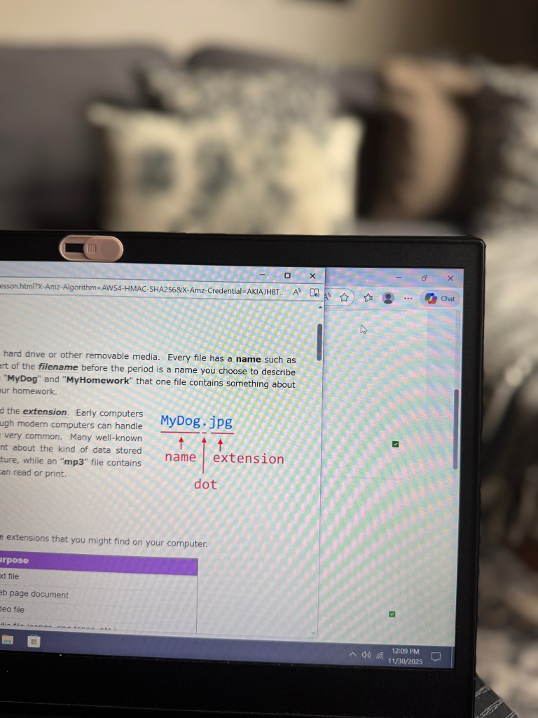 A laptop screen displaying a lesson on file naming and extensions with an example 'MyDog.jpg', explaining the components: name, extension, and dot.