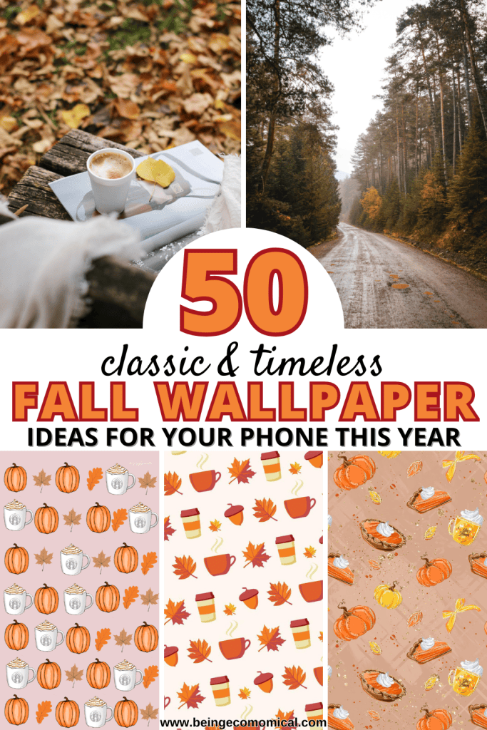 A cozy autumn scene with a coffee cup, blanket, and leaves on a wooden bench, alongside a scenic road lined with trees.